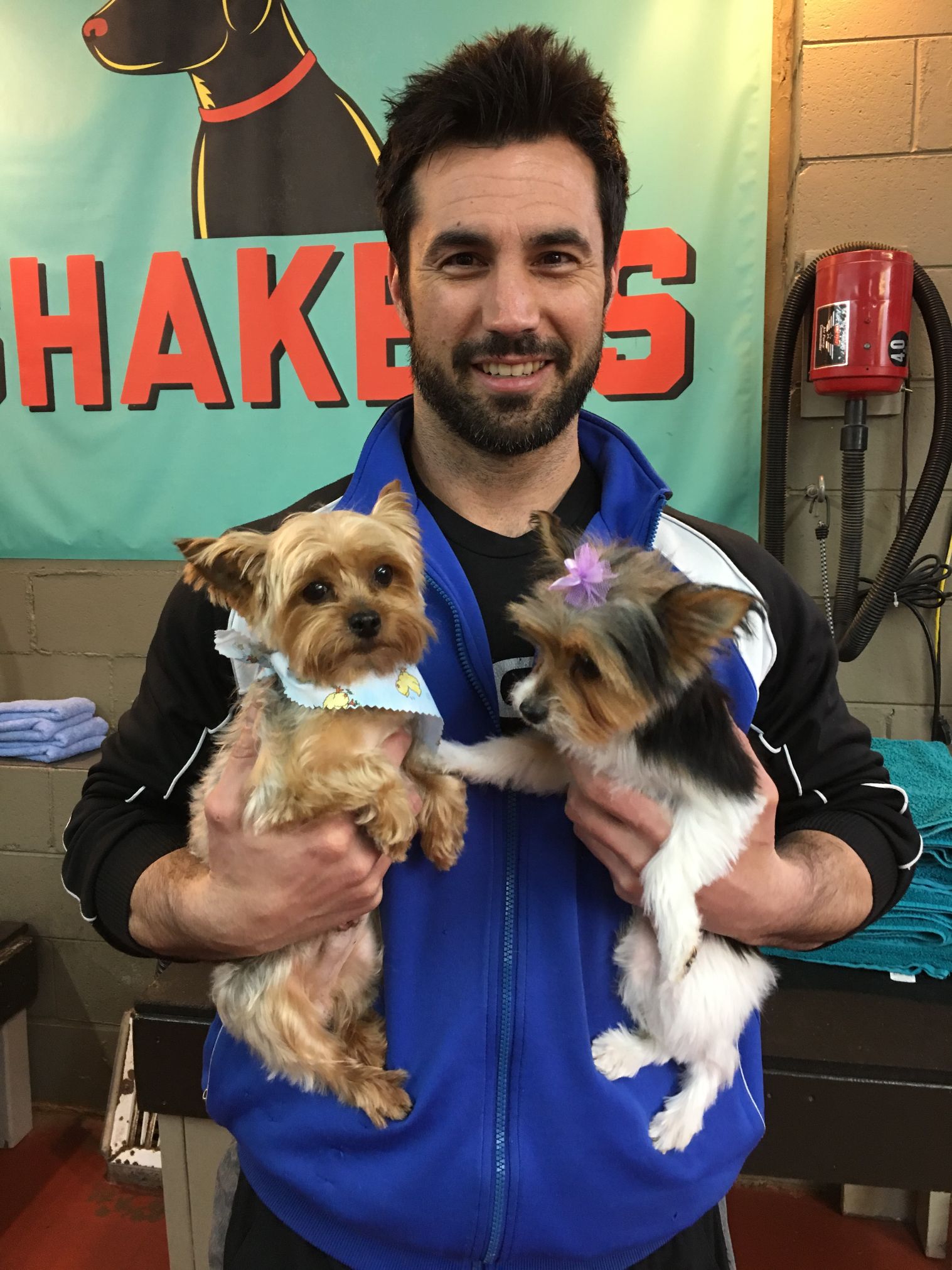 About Shakers Dog Wash and Grooming